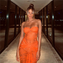 Emilyn Ruched Lace Maxi Dress