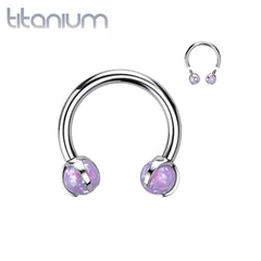 Implant Grade Titanium Purple Opal Internally Threaded Horseshoe