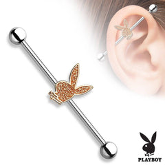 316L Surgical Sand Paper Playboy Straight Industrial Barbell
