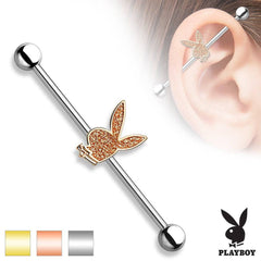 316L Surgical Sand Paper Playboy Straight Industrial Barbell