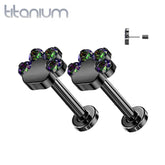 Pair of Implant Grade Titanium Black PVD Paw Print VM CZ Push In Earrings With Flat Back