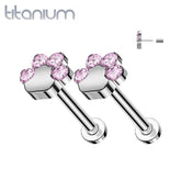 Pair of Implant Grade Titanium Paw Print Pink CZ Push In Earrings With Flat Back