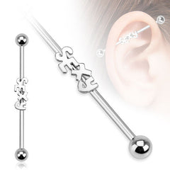316L Surgical Steel "Sexy" Industrial Barbell