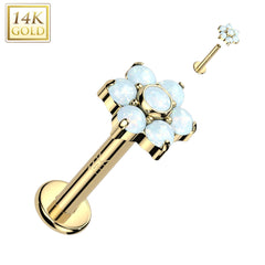 14KT Yellow Gold White Opal Flower Internally Threaded Flat Back Labret