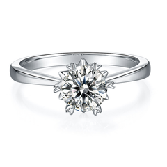 DEDEJILL Classic Straight-Arm Snowflake S925 Silver Platinum-Plated Moissanite Women's Ring - 1ct D Grade