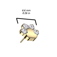 Implant Grade Titanium Gold PVD Paw Print White CZ Threadless Push In Labret