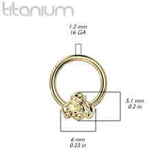 Implant Grade Titanium Gold PVD Bee Daith Septum Hinged Clicker Hoop