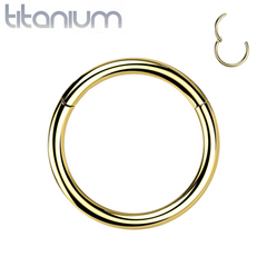 Implant Grade Titanium Gold PVD Hinged Clicker Segment Cartilage Hoop Ring