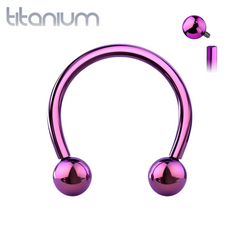 Implant Grade Titanium Internally Threaded Purple PVD Horseshoe Circular Barbell