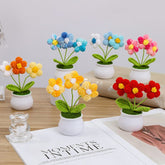 Handmade Crochet Potted Daisy Flower