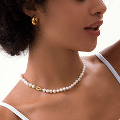 Cowrie Shell Pearl Choker