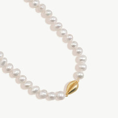 Cowrie Shell Pearl Choker