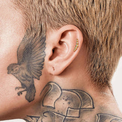 Implant Grade Titanium Curved Beaded Internally Threaded Flat Back Labret