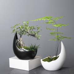 Luna Curve Ceramic Planter
