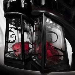 Raven's Kiss Mary Janes