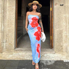 Lila Printed Slit Tube Maxi Dress