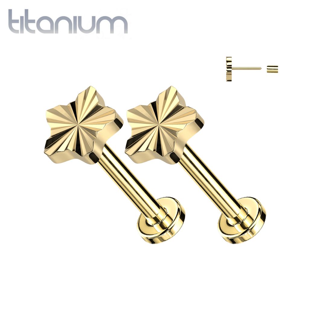 Pair of Implant Grade Titanium Gold PVD Dainty Ridged Star Threadless Push In Earrings With Flat Back