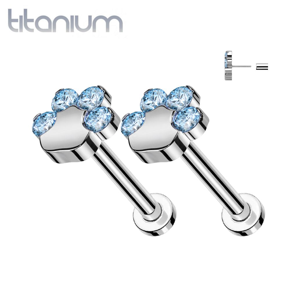 Pair of Implant Grade Titanium Paw Print Aqua CZ Push In Earrings With Flat Back