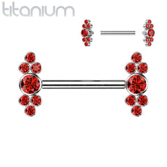 Implant Grade Titanium Dainty Red CZ Bezel Cluster Nipple Ring