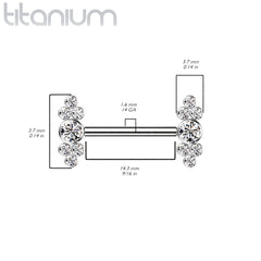 Implant Grade Titanium Dainty Red CZ Bezel Cluster Nipple Ring