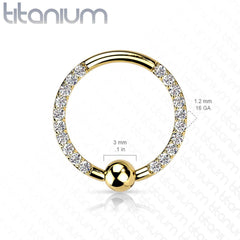 Implant Grade Titan Schwarz PVD Vorderseite VM CZ Pave CBR Creolenring